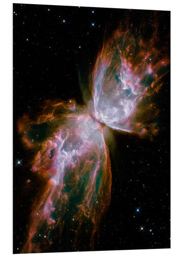 Foam board print Butterfly planetary nebula