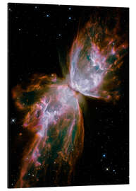 Magnettafel Schmetterlingsnebel