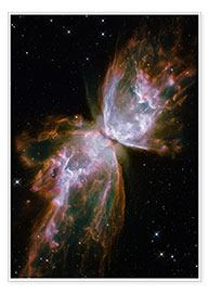 Wall print  Butterfly planetary nebula - NASA