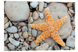 Foam board print Starfish on a beach