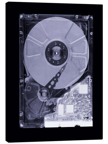 Canvastavla Computer hard disk, simulated X-ray