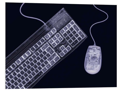 Bilde på skumplate Keyboard and mouse, simulated X-ray