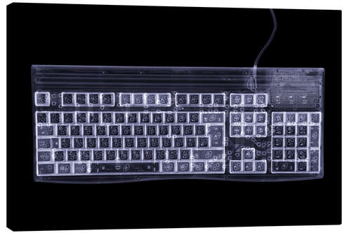 Canvastavla Computer keyboard, simulated X-ray