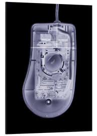 Quadro em alumínio Computer mouse, simulated X-ray