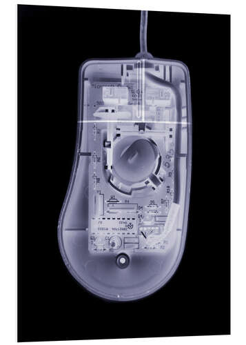 Bilde på skumplate Computer mouse, simulated X-ray