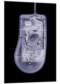 Stampa su PVC Computer mouse, simulated X-ray