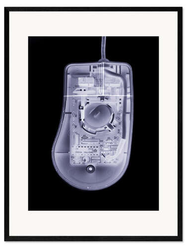 Innrammet kunsttrykk Computer mouse, simulated X-ray