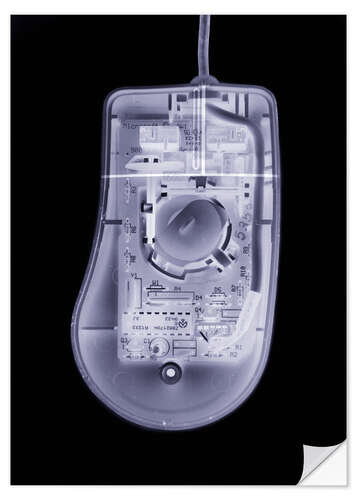 Vinilo para la pared Computer mouse, simulated X-ray