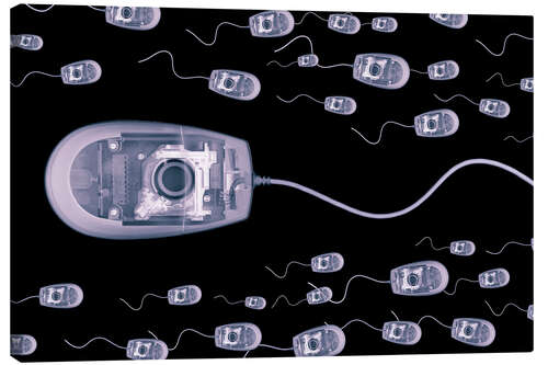 Quadro em tela Computer mice, X-ray artwork