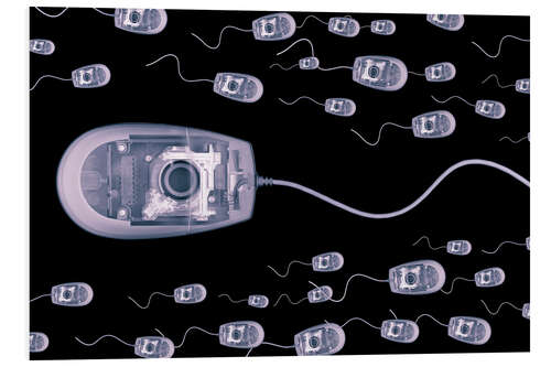 Quadro em PVC Computer mice, X-ray artwork