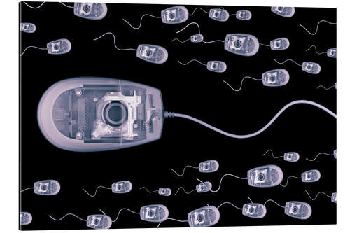 Galleriprint Computer mice, X-ray artwork