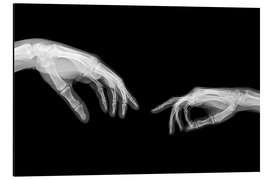 Magnettafel Die Erschaffung Adams, X-ray