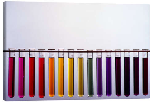 Canvas print Universal indicator scale