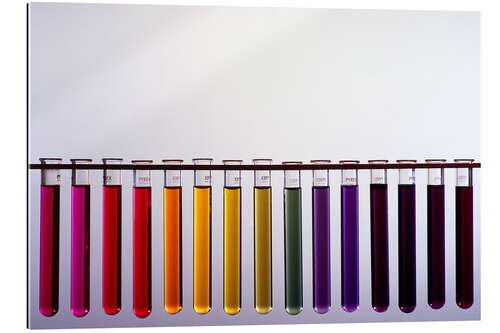 Tableau en plexi-alu Universal indicator scale