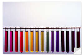 Sticker mural Universal indicator scale