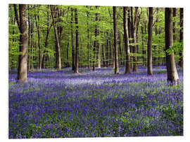 Hartschaumbild Glockenblumen im Wald