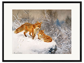 Stampa artistica con cornice Two foxes in a winter landscape