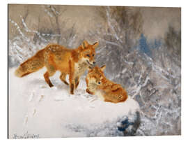 Magnettafel Zwei Füchse in einer Winterlandschaft