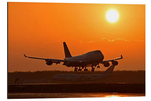 Aluminium print Landing a Beoing B747-400 in the sunset