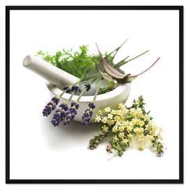 Gerahmter Kunstdruck Heilpflanzen