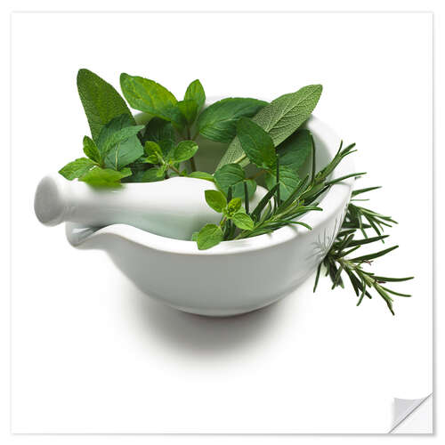 Vinilo para la pared Herbs in a mortar