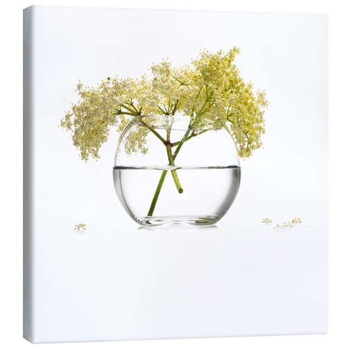 Stampa su tela Elderflower in a glass