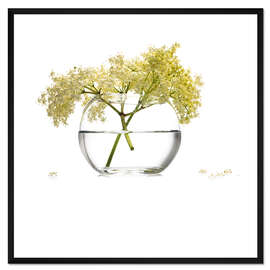 Gerahmter Kunstdruck Holunderblüten im Glas