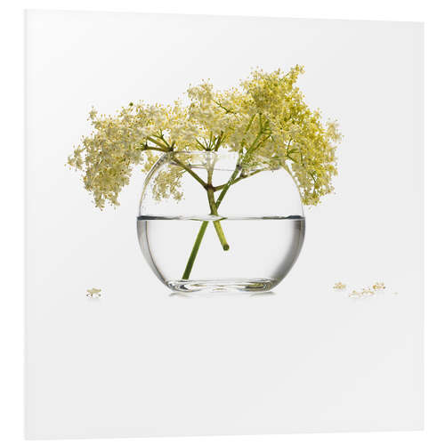 Bilde på skumplate Elderflower in a glass