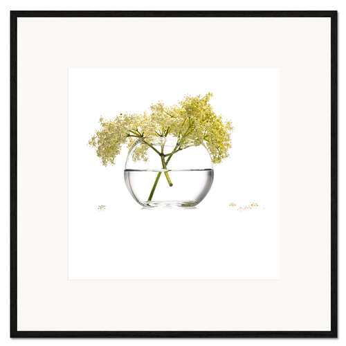 Framed art print Elderflower in a glass