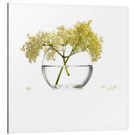 Magnettafel Holunderblüten im Glas