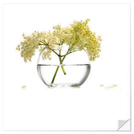 Selvklæbende plakat Elderflower in a glass