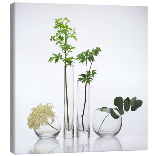 Canvas-taulu Medicinal plants, conceptual image