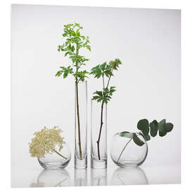 PVC-taulu Medicinal plants, conceptual image