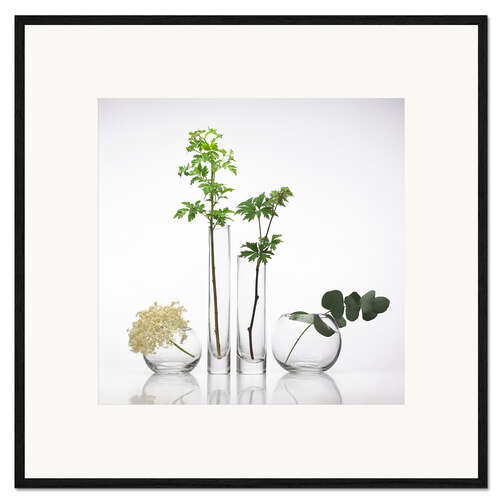 Innrammet kunsttrykk Medicinal plants, conceptual image