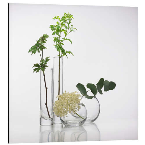 Cuadro de aluminio Plants in glass vases