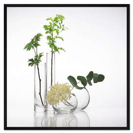 Gerahmter Kunstdruck Pflanzen in Glasvasen