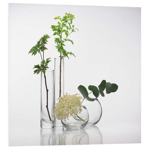 Cuadro de PVC Plants in glass vases