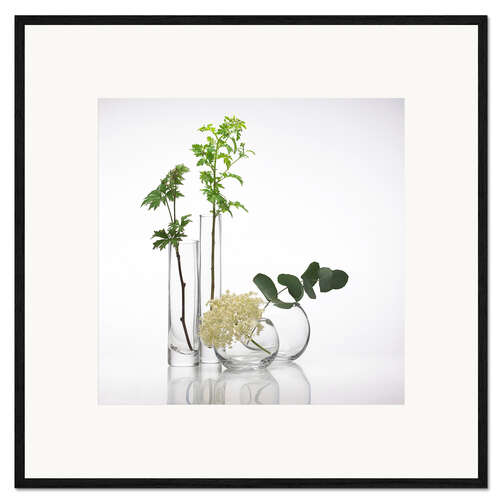 Framed art print Plants in glass vases