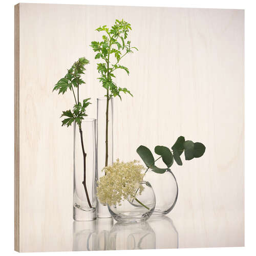 Wood print Plants in glass vases