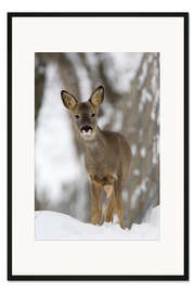 Gerahmter Kunstdruck Reh im Winter