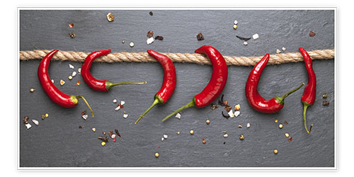 Poster Rote scharfe Chili Schoten mit Gewürzen