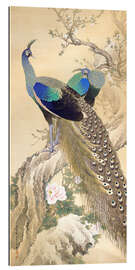 Gallery print Two peacocks in spring