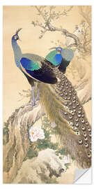 Wall sticker Two peacocks in spring