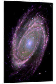 Stampa su alluminio Spiral galaxy M81