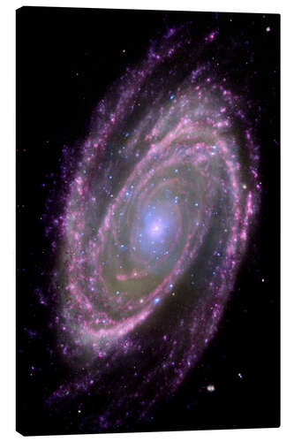 Stampa su tela Spiral galaxy M81