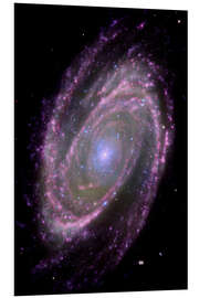 Bilde på skumplate Spiral galaxy M81