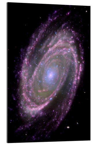 Gallery print Spiral galaxy M81