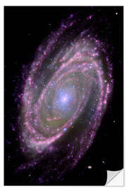 Självhäftande poster Spiral galaxy M81