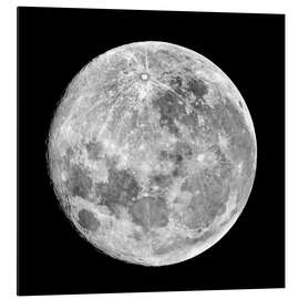 Magnettafel Vollmond