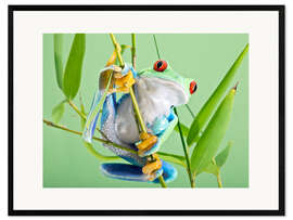 Framed art print Red-eyed tree frog